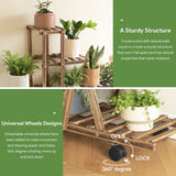 The Best Wooden Plant Stand - Hot Deal Galaxy