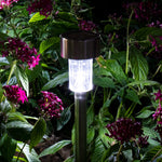 Best Outdoor Garden LED Cold White Lights Online - Hot Deal Galaxy