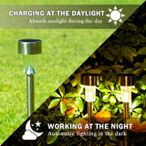 Outdoor Garden LED Color Changing Lights Online Sale - Hot Deal Galaxy